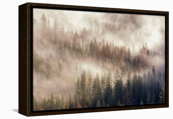 Misty Morning. Seen from Tunnel View. Yosemite National Park, California.-Tom Norring-Framed Premier Image Canvas