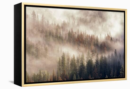 Misty Morning. Seen from Tunnel View. Yosemite National Park, California.-Tom Norring-Framed Premier Image Canvas
