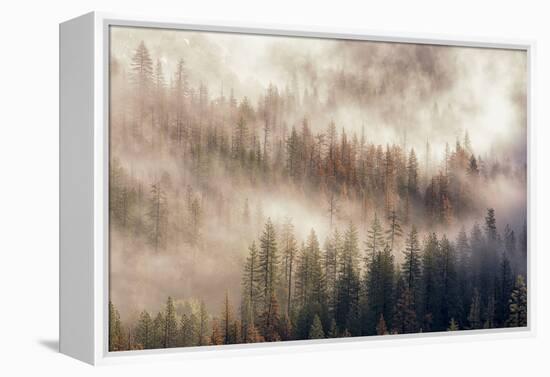 Misty Morning. Seen from Tunnel View. Yosemite National Park, California.-Tom Norring-Framed Premier Image Canvas