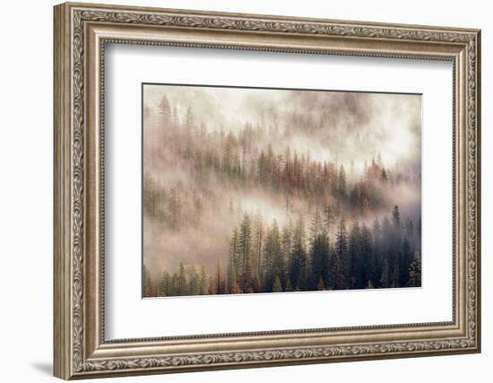 Misty Morning. Seen from Tunnel View. Yosemite National Park, California.-Tom Norring-Framed Photographic Print