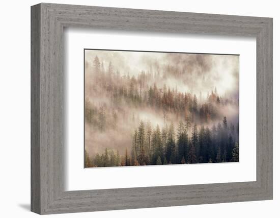 Misty Morning. Seen from Tunnel View. Yosemite National Park, California.-Tom Norring-Framed Photographic Print