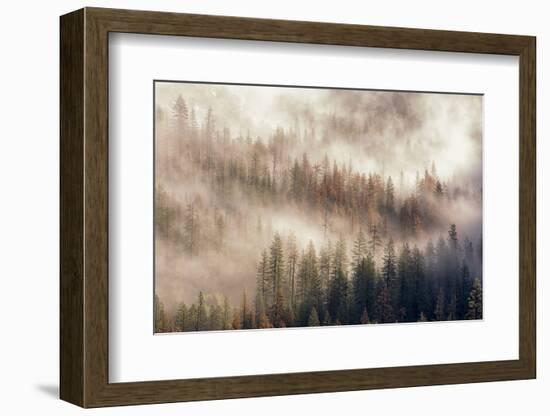 Misty Morning. Seen from Tunnel View. Yosemite National Park, California.-Tom Norring-Framed Photographic Print