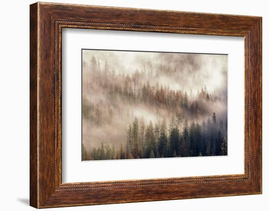 Misty Morning. Seen from Tunnel View. Yosemite National Park, California.-Tom Norring-Framed Photographic Print