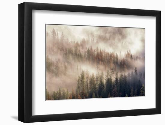 Misty Morning. Seen from Tunnel View. Yosemite National Park, California.-Tom Norring-Framed Photographic Print