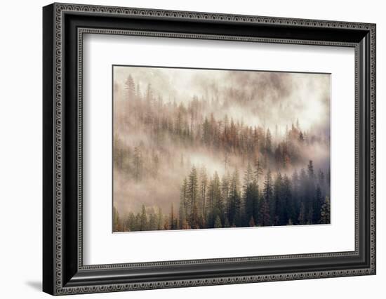 Misty Morning. Seen from Tunnel View. Yosemite National Park, California.-Tom Norring-Framed Photographic Print