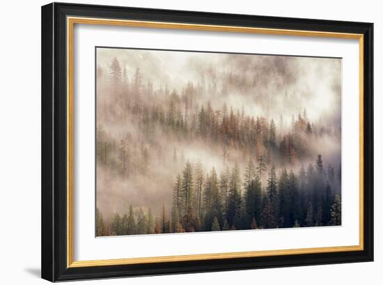 Misty Morning. Seen from Tunnel View. Yosemite National Park, California.-Tom Norring-Framed Photographic Print