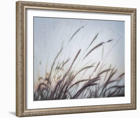 Misty Morning VI-Elizabeth Urquhart-Framed Photo