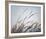 Misty Morning VI-Elizabeth Urquhart-Framed Photo