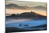 Misty Morning World and First Light, Petaluma California-Vincent James-Mounted Photographic Print