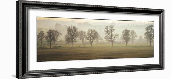 Misty Morning-Ella Lancaster-Framed Giclee Print