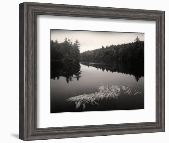 Misty Morning-Andrew Ren-Framed Art Print