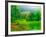 Misty Morning-Steven Maxx-Framed Photographic Print