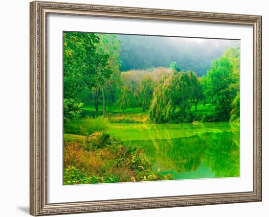 Misty Morning-Steven Maxx-Framed Photographic Print