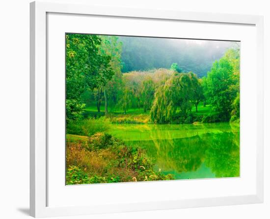 Misty Morning-Steven Maxx-Framed Photographic Print