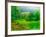 Misty Morning-Steven Maxx-Framed Photographic Print