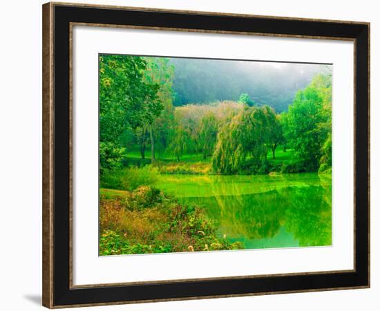 Misty Morning-Steven Maxx-Framed Photographic Print