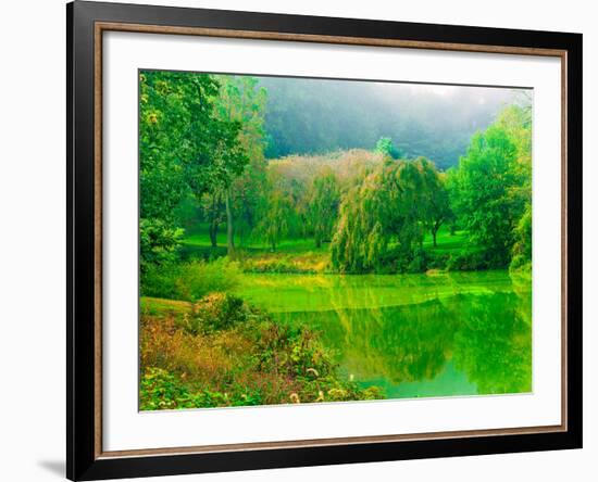 Misty Morning-Steven Maxx-Framed Photographic Print