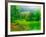 Misty Morning-Steven Maxx-Framed Photographic Print