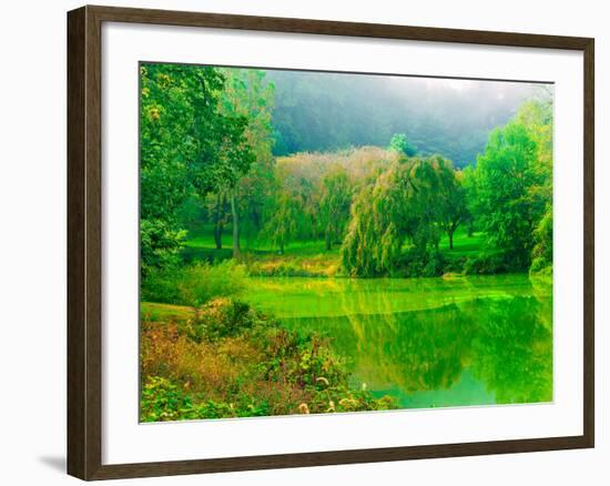 Misty Morning-Steven Maxx-Framed Photographic Print