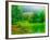 Misty Morning-Steven Maxx-Framed Photographic Print