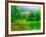 Misty Morning-Steven Maxx-Framed Photographic Print