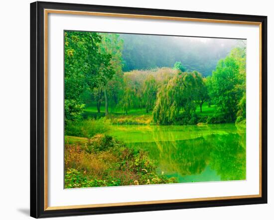 Misty Morning-Steven Maxx-Framed Photographic Print