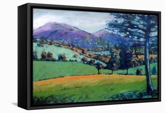 Misty Morning-Paul Powis-Framed Premier Image Canvas