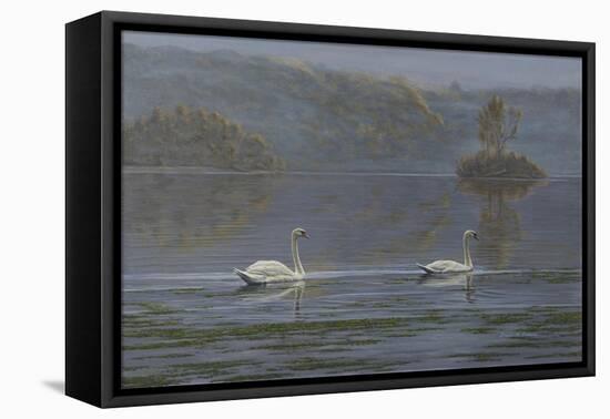 Misty Morning-Bruce Dumas-Framed Premier Image Canvas