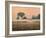 Misty Morning-James W Johnson-Framed Giclee Print