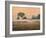 Misty Morning-James W Johnson-Framed Giclee Print