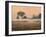 Misty Morning-James W Johnson-Framed Giclee Print