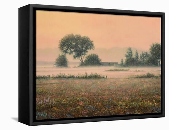 Misty Morning-James W Johnson-Framed Premier Image Canvas
