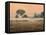 Misty Morning-James W Johnson-Framed Premier Image Canvas