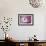 Misty Morning-Jacky Parker-Framed Giclee Print displayed on a wall