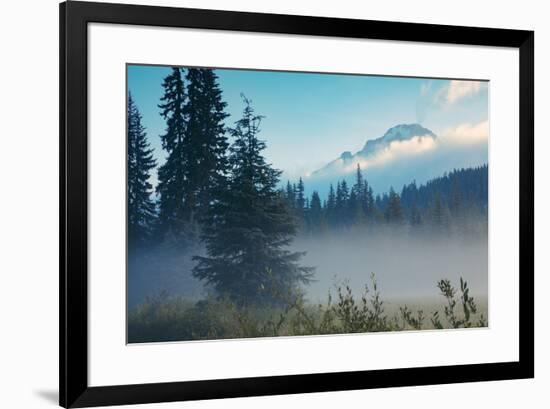 Misty Mount Hood Meadow in Spring, Oregon Wilderness-Vincent James-Framed Photographic Print