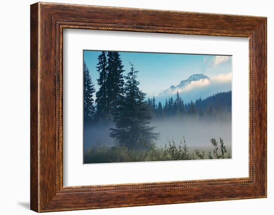 Misty Mount Hood Meadow in Spring, Oregon Wilderness-Vincent James-Framed Photographic Print