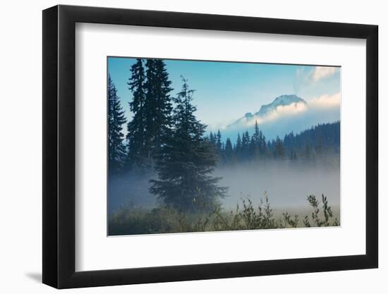 Misty Mount Hood Meadow in Spring, Oregon Wilderness-Vincent James-Framed Photographic Print