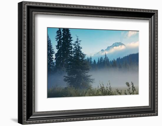 Misty Mount Hood Meadow in Spring, Oregon Wilderness-Vincent James-Framed Photographic Print
