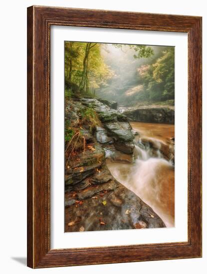 Misty Mountain Creekside, Catskills-Vincent James-Framed Photographic Print