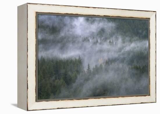 Misty Mountains North Cascades-Alan Majchrowicz-Framed Premier Image Canvas