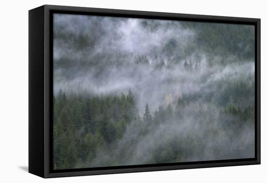 Misty Mountains North Cascades-Alan Majchrowicz-Framed Premier Image Canvas