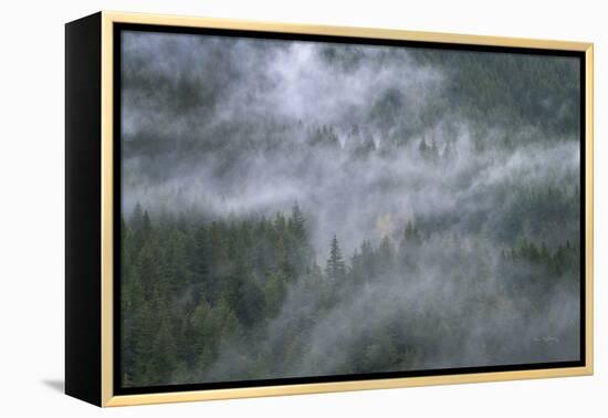 Misty Mountains North Cascades-Alan Majchrowicz-Framed Premier Image Canvas