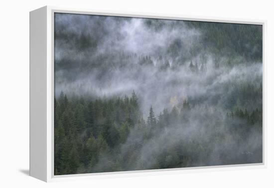 Misty Mountains North Cascades-Alan Majchrowicz-Framed Premier Image Canvas