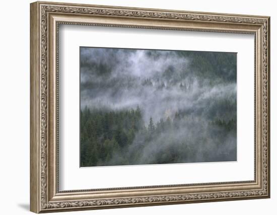 Misty Mountains North Cascades-Alan Majchrowicz-Framed Photographic Print