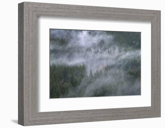 Misty Mountains North Cascades-Alan Majchrowicz-Framed Photographic Print