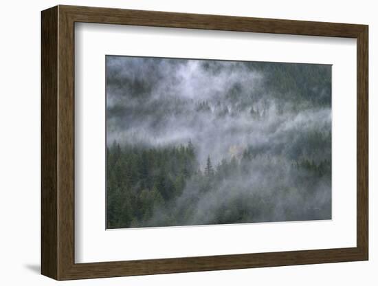 Misty Mountains North Cascades-Alan Majchrowicz-Framed Photographic Print