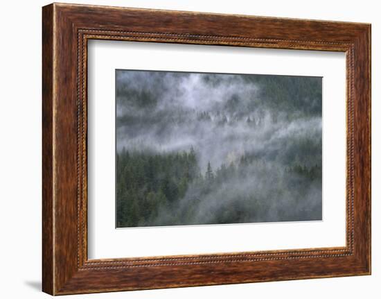 Misty Mountains North Cascades-Alan Majchrowicz-Framed Photographic Print