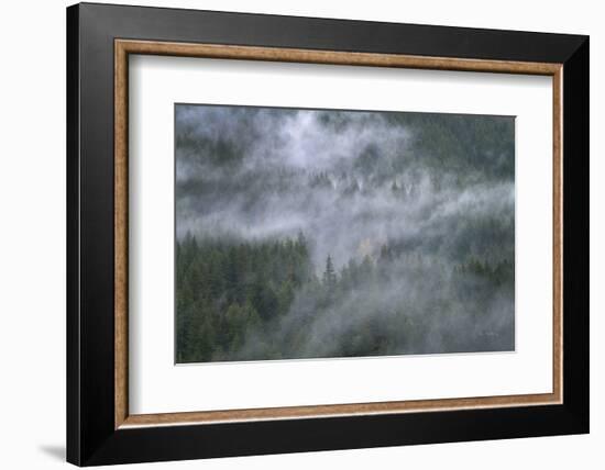 Misty Mountains North Cascades-Alan Majchrowicz-Framed Photographic Print