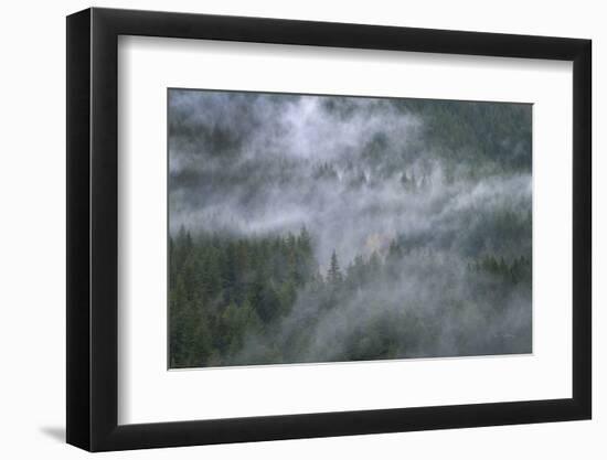 Misty Mountains North Cascades-Alan Majchrowicz-Framed Photographic Print