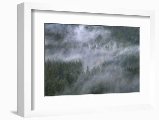 Misty Mountains North Cascades-Alan Majchrowicz-Framed Photographic Print